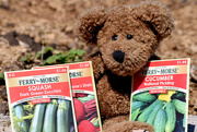 16th Apr 2020 - Teddy Says, "Plant A Garden!"