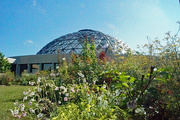 16th Apr 2020 - Botanical garden