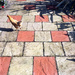 Why did the chicken cross the road? (or patio) by jeff