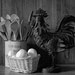 The Chicken and Eggs by farmreporter