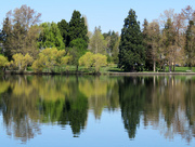 17th Apr 2020 - Reflections On Green Lake
