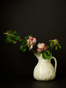 17th Apr 2020 - Apple blossom in vase