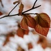 Looks Like Fall by phil_sandford