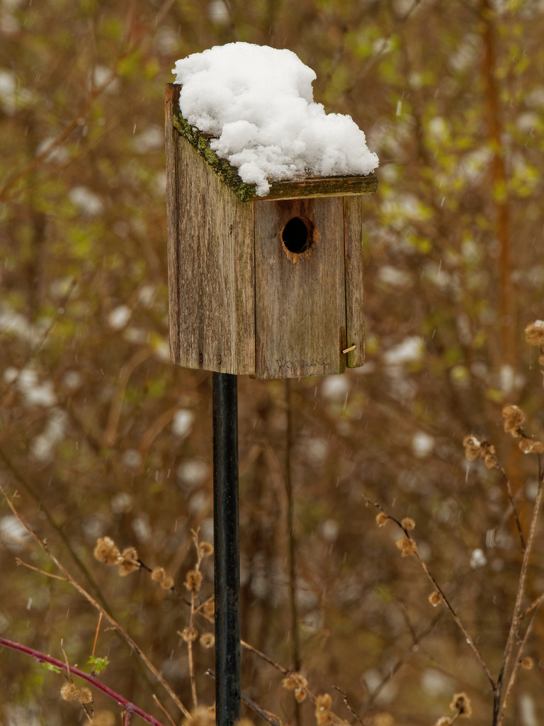 birdhouse with a snow roof by rminer