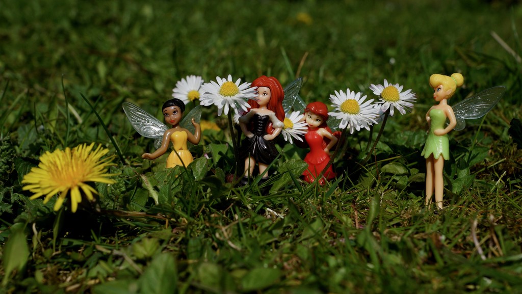 DAISY CHAIN OF EVENTS - DAY 17 by markp