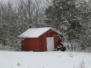 10th Jan 2011 - Snow Frosting