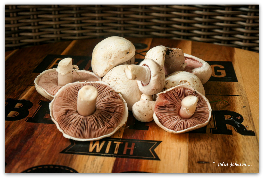 Mushrooms for Tea... by julzmaioro