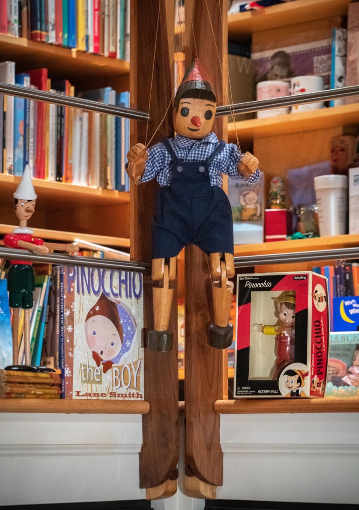 Home LIbrary 7/30: Pinocchio Puppet by jyokota