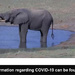Tembe Elephant Park WebCam by judithmullineux