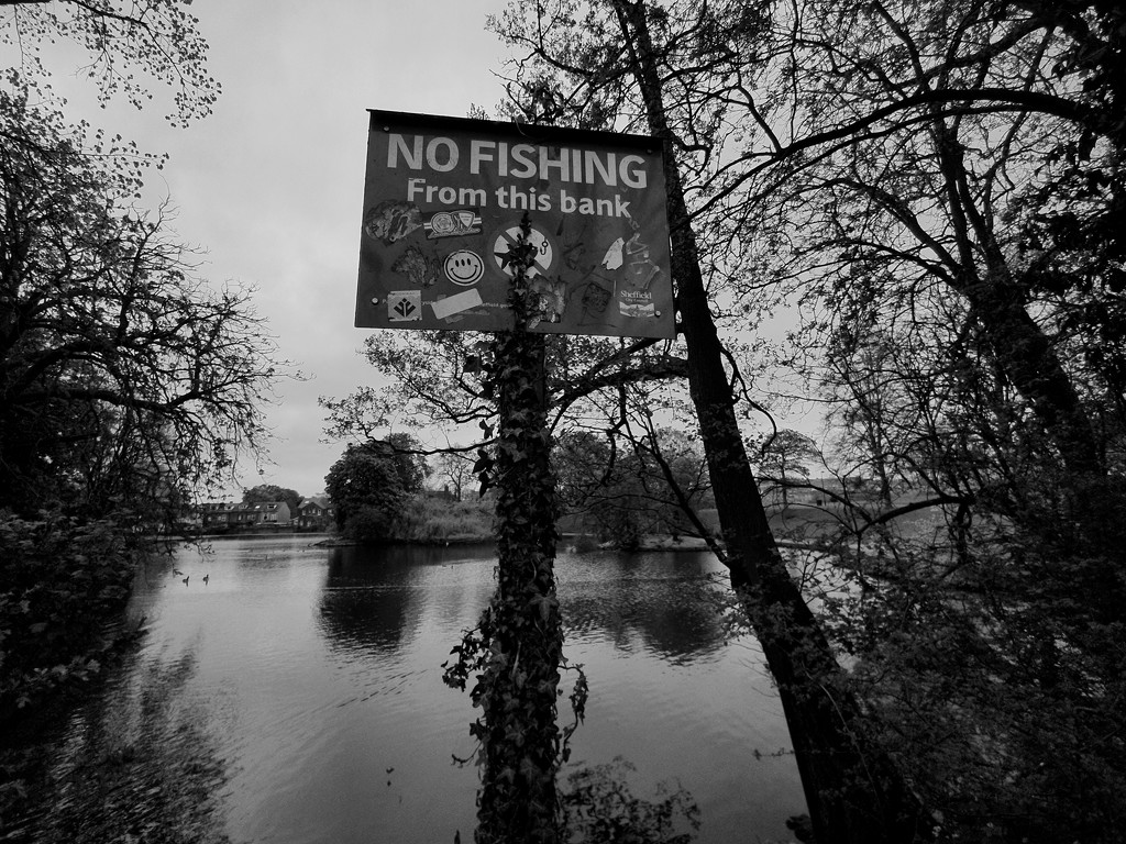 No fishing by isaacsnek