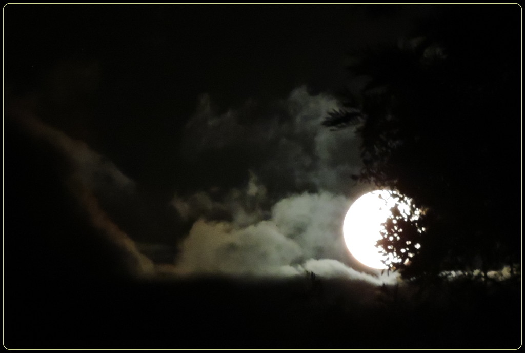 Moonlight on Clouds by ubobohobo