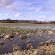 1st Mar 2020 - Flooded....