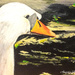 Swans head and neck (painting) by stuart46