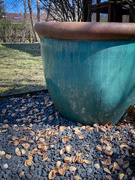 19th Apr 2020 - The Untidy Squirrel Leaves a Mess
