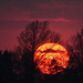 Great Ball of Fire by kareenking