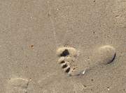19th Apr 2020 - Little footprint on the beach