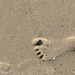 Little footprint on the beach by frequentframes