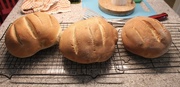 19th Apr 2020 - I baked bread for the first time.