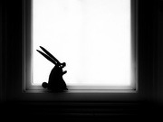 19th Apr 2020 - killer rabbit (silhouette)