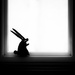 killer rabbit (silhouette) by northy