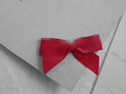 19th Apr 2020 - red and white dusty bow