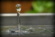 18th Apr 2020 - Water Drop