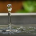 Water Drop by judyc57