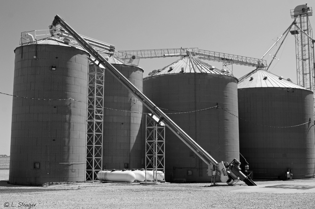 Grain elevator  by larrysphotos