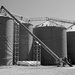 Grain elevator  by larrysphotos