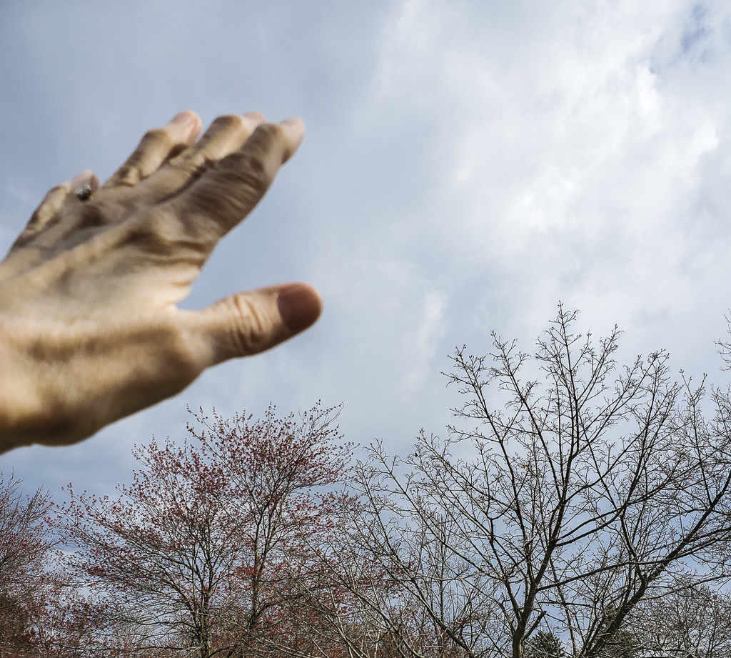 Day 19 - 30 Shots of hand by houser934