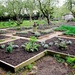 Herb Garden by allsop