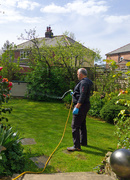19th Apr 2020 - 329 Blue skies and garden jobs