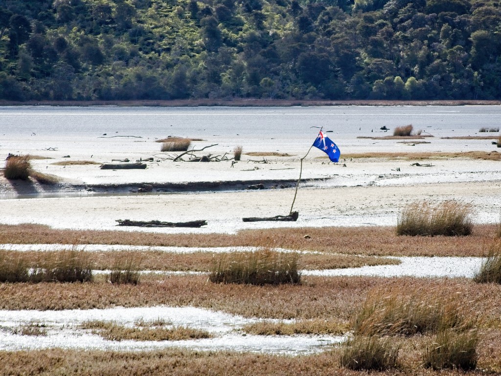 Flying the flag in the estuary  by kiwinanna