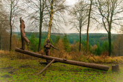 17th Apr 2020 - Grosmont forest sculpture