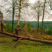 Grosmont forest sculpture by sjc88