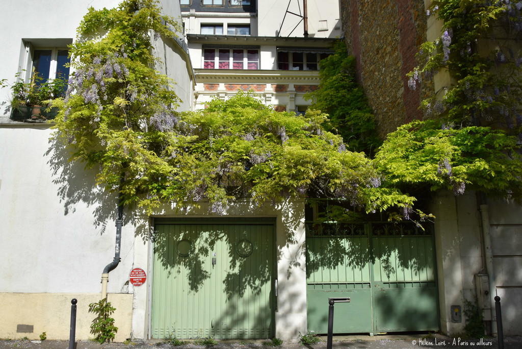 The wisteria house by parisouailleurs