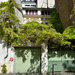 The wisteria house by parisouailleurs