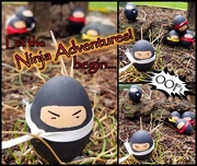 14th Apr 2020 - Practicing Ninja skills!