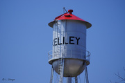 20th Apr 2020 - Water tower