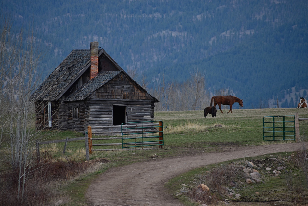 Montana Homestead Ranch House by bjywamer