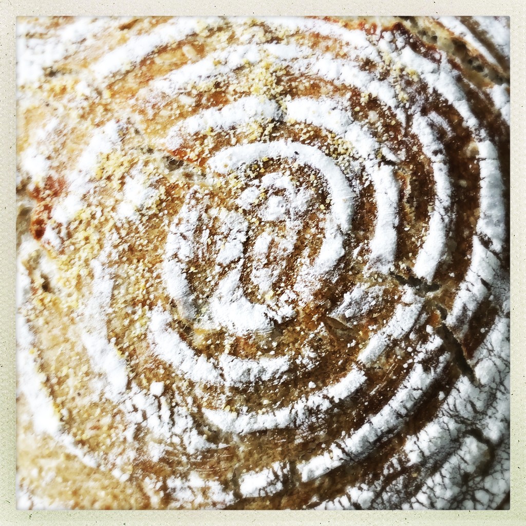 Flour spiral by mastermek