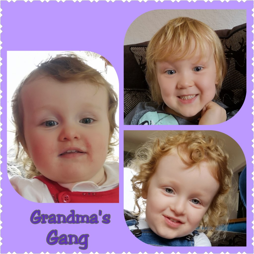 Grandma's Gang  by plainjaneandnononsense