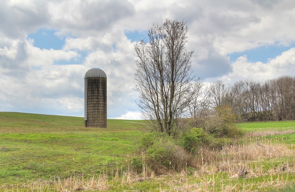 Silo in the field by mittens