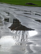 14th Apr 2020 - Reflection in the Puddles