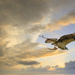 Osprey with Fish and New Sky by jgpittenger
