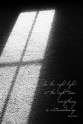 21st Apr 2020 - The Right Light