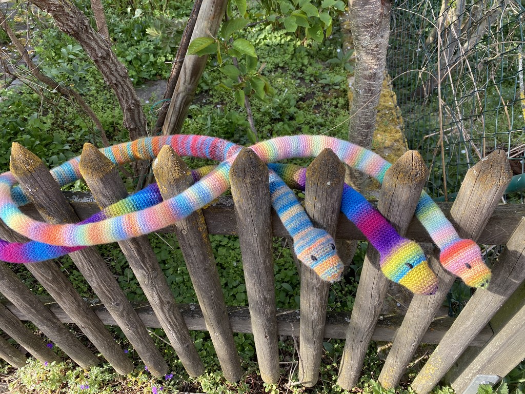 Crocheted Snakes on the fence by ninihi