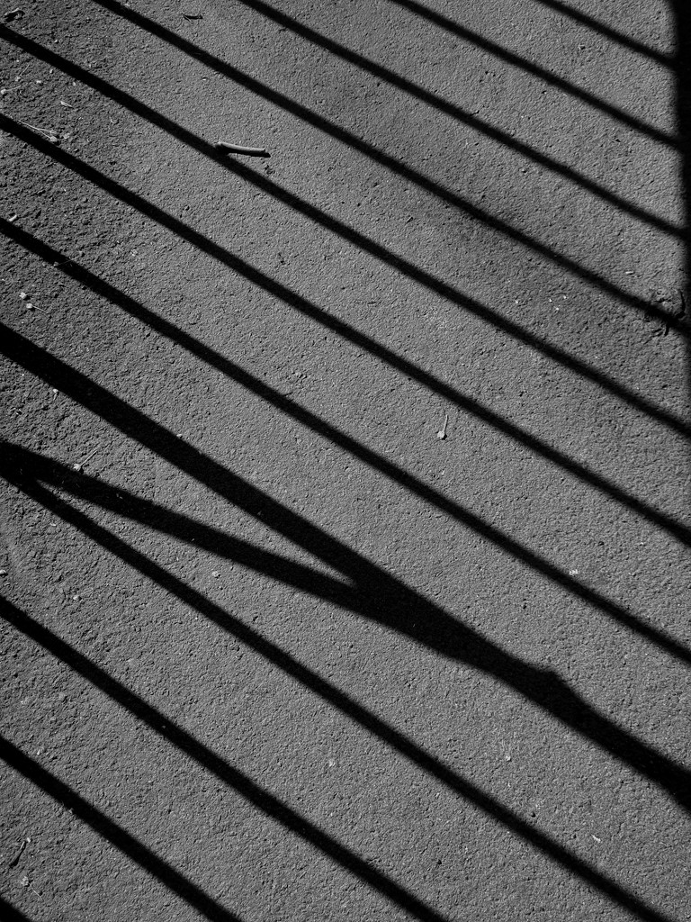 Fence shadows by isaacsnek
