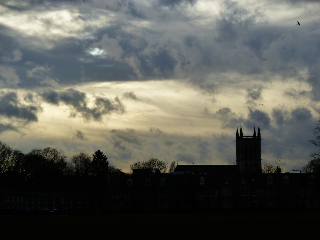 Afternoon on Jesus Green by judithg
