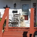 Neighborhood dog by maysvilleky